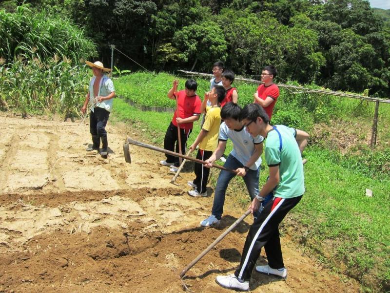 學生正參與校本課後支援計劃（區本）-有機農耕活動，體驗農夫的生活